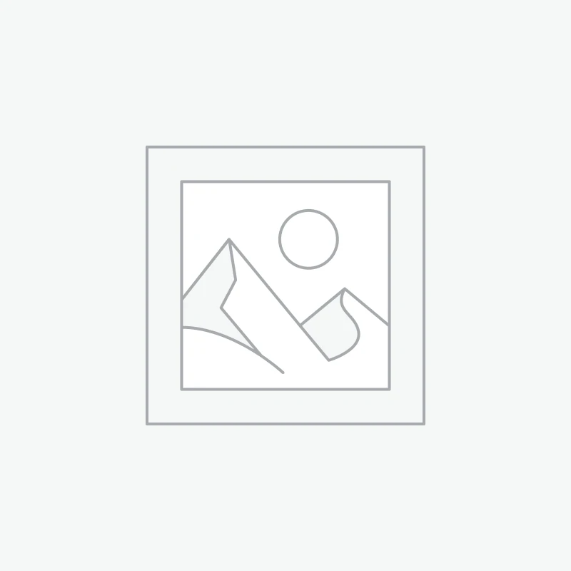 توربین گازی v4